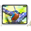 HOFI FOLIA OCHRONNA MATTE DO IPAD AIR 10.9 2020-2022 PRO 11 2 3 4 2 SZTUKI