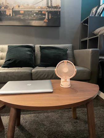 Joyroom CheerSummer wiatrak wentylator biurkowy przenośny zdalnie sterowany różowy (JR-CY363-RC pink)