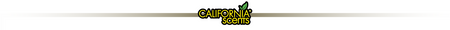 CALIFORNIA ZAPACH MONTEREY VANILLA DO AUTO ZAPACH NA DŁUGO AROMAT VANILIANY