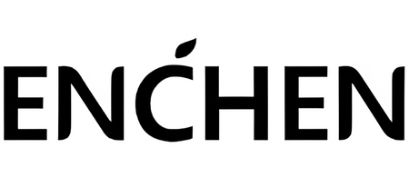 ENCHEN KOŃCÓWKI DO SZCZOTECZKI T501 ZAMIENNE 2 SZTUKI DO CODZIENNEGO UŻYTKU