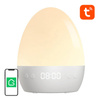 GOSUND INTELIGENTNA LAMPKA NOCNA WIFI RGBW LB2S DO TUYA Z FUNKCJĄ