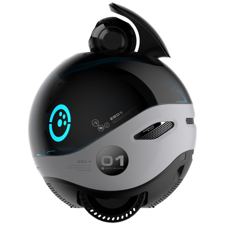 Inteligentny robot towarzyszący ENABOT EBO X