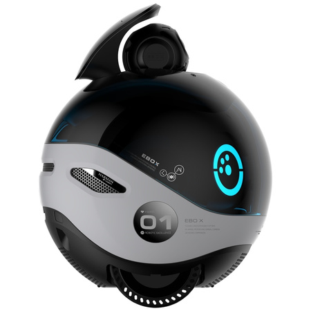 Inteligentny robot towarzyszący ENABOT EBO X