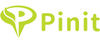 PINIT PRZYPINKI DO CASE IPHONE 12 13 14 15 WZÓR 2 AKCESORIA DO TELEFONU