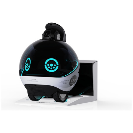 Inteligentny robot towarzyszący ENABOT EBO X