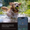 SPIGEN ETUI TOUGH ARMOR PET COLLAR DO AIRTAG 1 2 OCHRONA NA SZYJKE