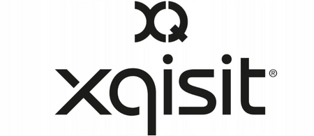 XQISIT ZESTAW SŁUCHAWKOWY MONO WIRELESS DO TELEFONÓW BEZPRZEWODOWE MIKROFON