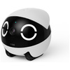 Inteligentny robot towarzyszący ENABOT ROLAMINI