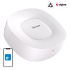 SONOFF BRAMKA ZIGBEE BRIDGE DO SMART HOME ZBBridge-U 1.5 GHz 1 GB RAM Z LAN