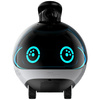Inteligentny robot towarzyszący ENABOT EBO X