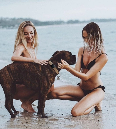 HURTEL ETUI SILIKONOWE NA OBRÓŻĘ PSIA KOCIA DO AIRTAG PASUJE NA KAŻDY MODEL