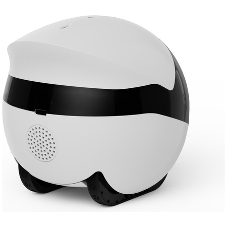 Inteligentny robot towarzyszący ENABOT ROLAMINI