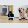 Inteligentny robot towarzyszący ENABOT EBO X