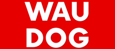 WAUDOG SMYCZ NYLONOWA 122CM 20MM DO PIESKA WYTRZYMAŁA NA SPACERY I
