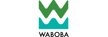 Piłeczka dla psa Waboba Fetch